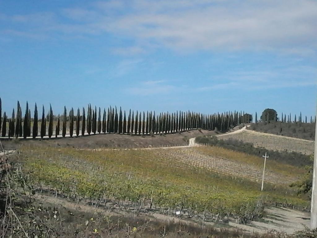 Hotel Cisterna Nel Borgo Castiglione dʼOrcia Exterior foto